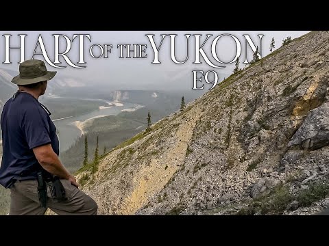Hart of the YUKON - 14 Days Solo Camping in the Yukon Wilderness - E.9 - Searching for Sheep Caves