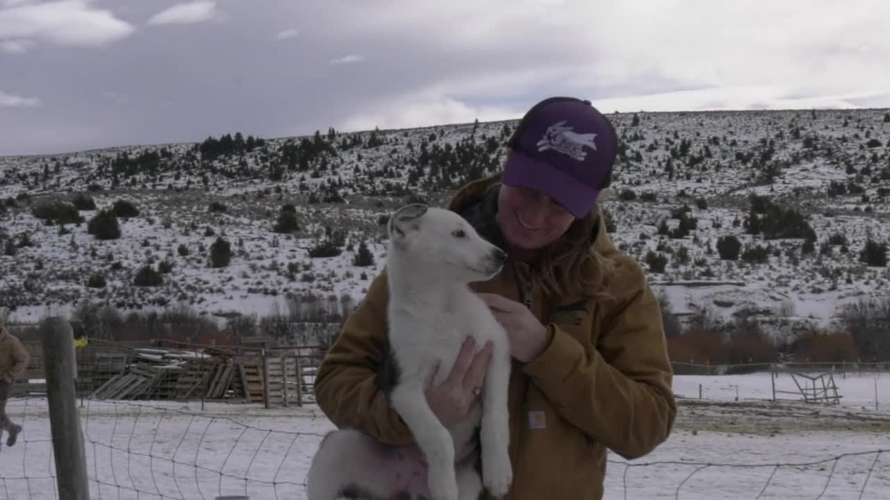 Prairie Song Rescue saves dozens of dogs with help of community