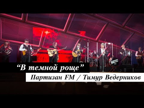 Партизан FM - Песня Брянских Партизан | В Темной Роще Глухой | The Partizan FM  Russian folk band