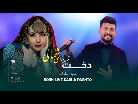 Masih Shadab - New Qataghani Song 2022 - Dokht Shamali |   آهنگ‌ جدید دخت زیبای شمالی از مسیح شاداب