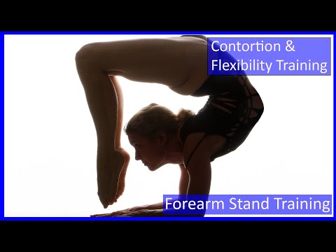 37 Flexyart Contortion:  Knee- & Forearm Stand - Also for Yoga, Pole, Ballet, Dance People