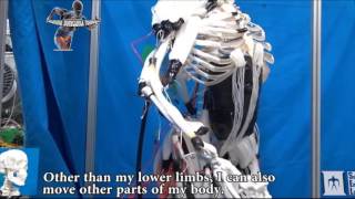 Muscoli artificiali. Non perderti una mostra chiara di come funzionano.