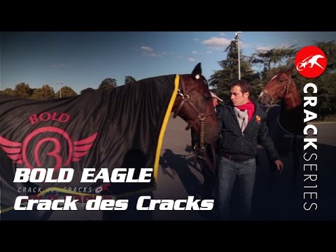 BOLD EAGLE, Crack des Cracks - CRACK SERIES 2015
