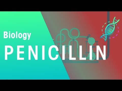 Penicillin | Microorganisms | Biology | FuseSchool