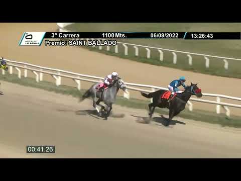 220806 c03 - JOAN BAEZ (BRZ) - HIPODROMO LAS PIEDRAS