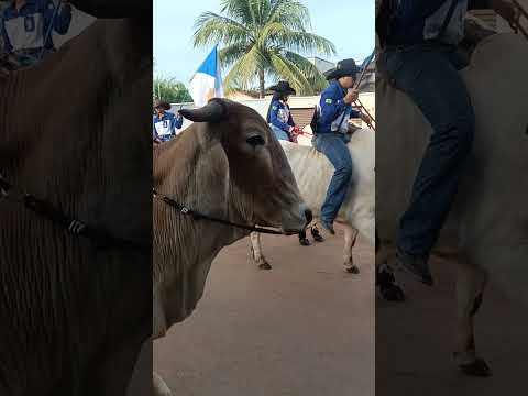 Cavalgada de Miranorte 2026
