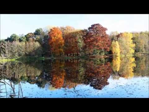 Herbstliche Wasserspiegelungen in Cottbuser Badeseen