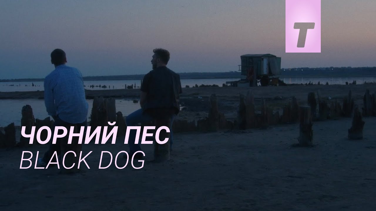 Чорний пес / Black Dog