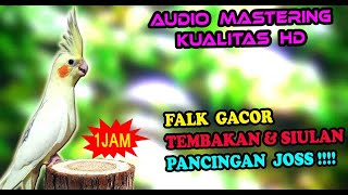 Download lagu Melodious falk bird sounds that resemble whistling to train your birds. mp3