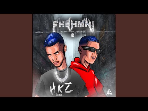 Fhemni (feat. Tflow)