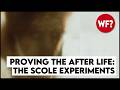 Proving The Afterlife The Scole Experiments