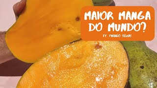 Miniatura do vídeo