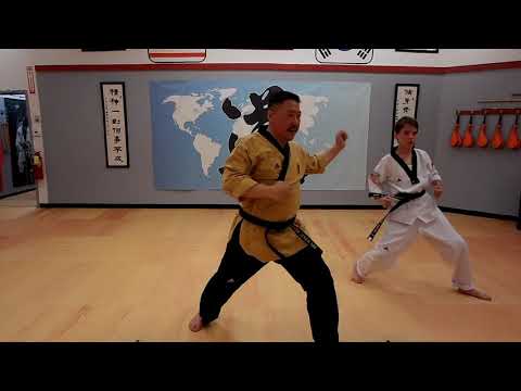 Elite Taekwondo Hadley- Basic form #4