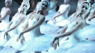 N.O.-SYO - Swan Lake