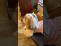 Manike Jubin Nautiyal Yohani Funny Shorts Yohani Tiktok Viralvideo