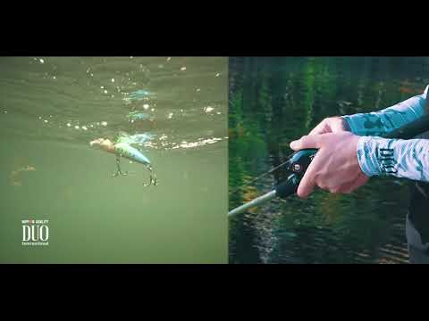 Lure Masterclass: Realis FangPop - How To