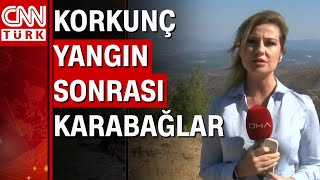 Karabağlar yangının 3. yılı: Temizlenen alanlar yeniden yeşillendirildi