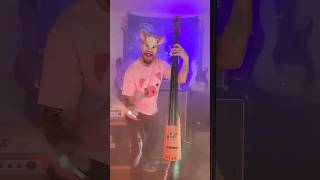 Primus Mr Krinkle On Upright Bass