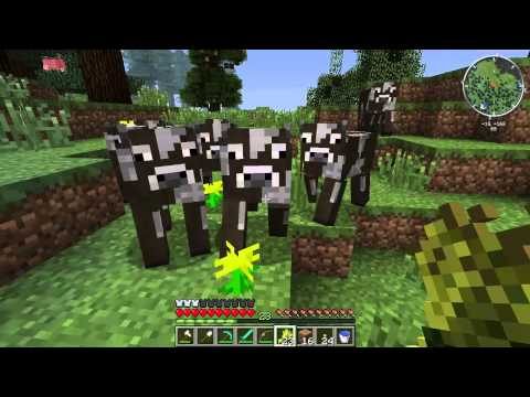 Let's Play Minecraft - Feed the Beast: Mindcrack - S2 Ep.6