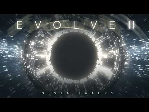 Ninja Tracks - Reincarnation