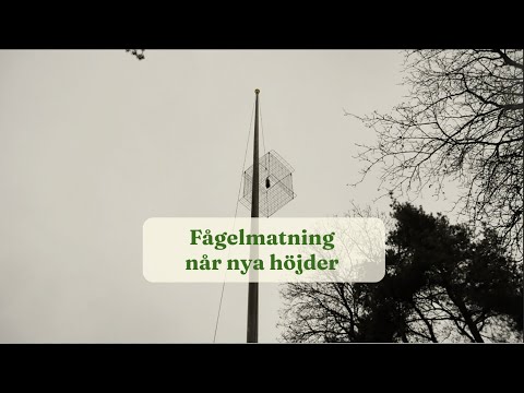 Bird feeding reaches new heights - Gardenhacks by GardenR