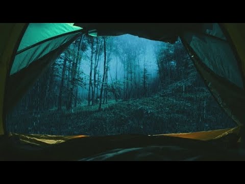 Torrential Rain & THUNDER on a Camping Tent-Lost in the Forest-Sleep to Rain Sounds in the WILD