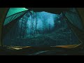 Torrential Rain THUNDER On A Camping Tent Lost In The Forest Sleep To Rain Sounds In The WILD