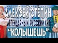 Alexey Stepin (Алексей Стёпин) Только Ты Меня Колышешь 