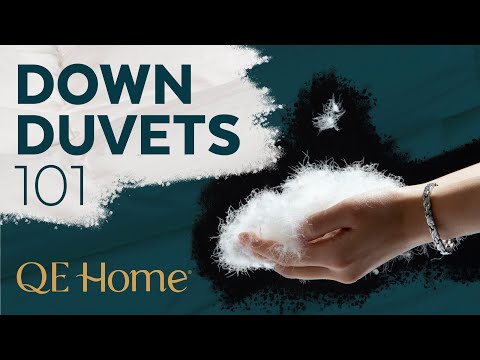 Down Duvets 101│QE Home
