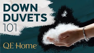 Down Duvets 101│QE Home