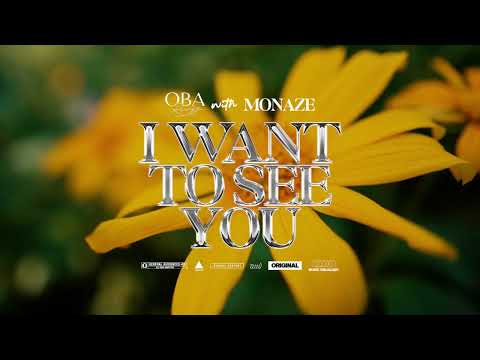 Oba Reengy x Monaze - I Want To See You (Official Visualizer)