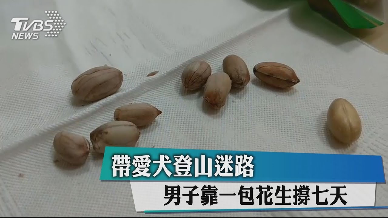 帶愛犬登山迷路 男子靠一包花生撐7天