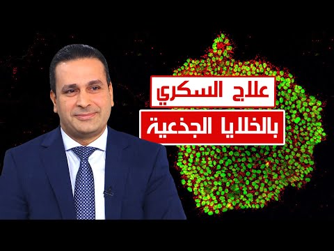 img-video