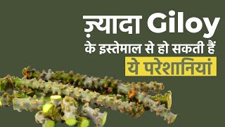 Overconsumption of Giloy Is Bad For Health, Here Are Some Side Effects