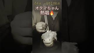 Download lagu ミルバもビックリ‼️ Otamavion♬ @yukariiwashiro #piazzolla #ピアソラ #タンゴ #tango #シニアライフ60代 mp3