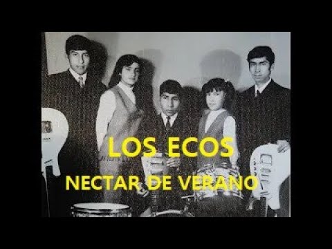 LOS ECOS NECTAR DE VERANO