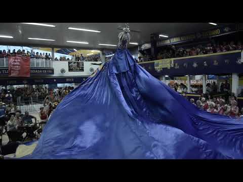 Estrela do Carnaval: apresentação da Estácio de Sá na festa de 2019