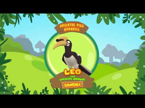 Witness21  2019 01 31