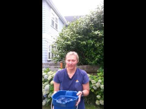 ALSA Ice Bucket Challenge for Cathy Ogden