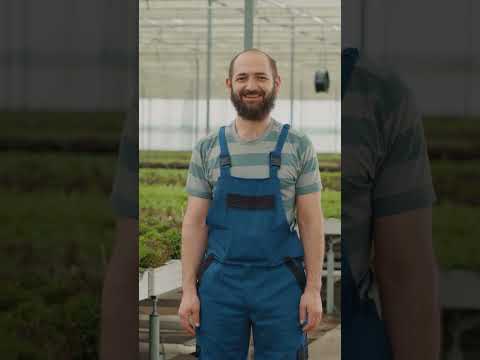 Hydroponics vs Soil: The Ultimate Taste Test Showdown! 🌱🍅