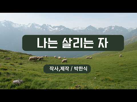 영상