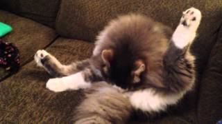 [問卦] 第一次被舔蛋蛋是什麼感覺？！