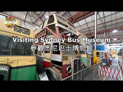 【AU44】參觀悉尼巴士博物館 (29 Jan 2023) Visiting Sydney Bus Museum