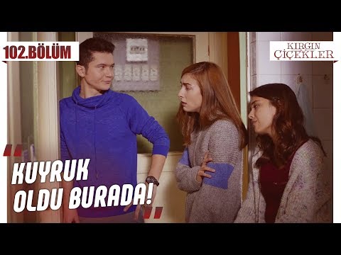 Tuvalet sırası! - Kırgın Çiçekler 102.Bölüm