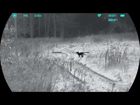 I missed the fox! – RIX LEAP L6R V2