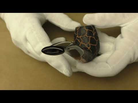 Ser Jacopo Maior S1 A - pipe 1444B