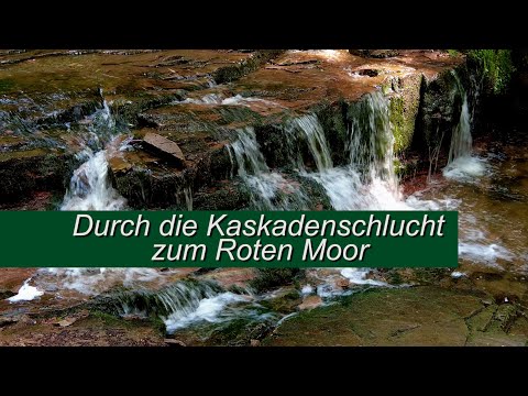Durch die Kaskadenschlucht zum Roten Moor 2021