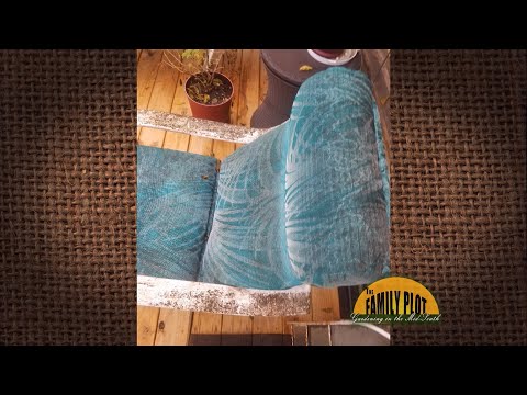 Q&A – I have honeydew flying bugs that are coating everything with honeydew. How can I control them?