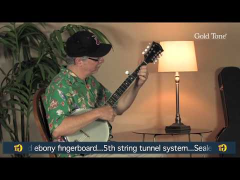 Gold Tone OT-10 Maple Neck Open Back 10-String Banjitar w/Hardshell Case image 6