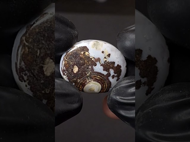 حجر عقيق داؤدي طبيعي